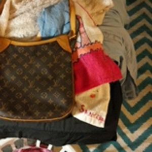 Louis vuttion bag